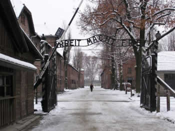 Reincarnation and the Holocaust