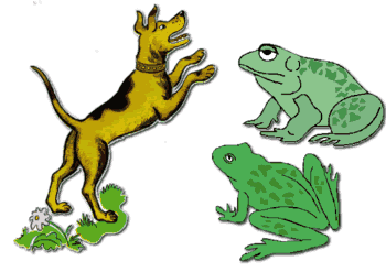 Passover Lesson from Dogs and Frogs