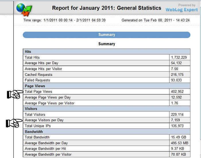 Page View Graph from January 2011